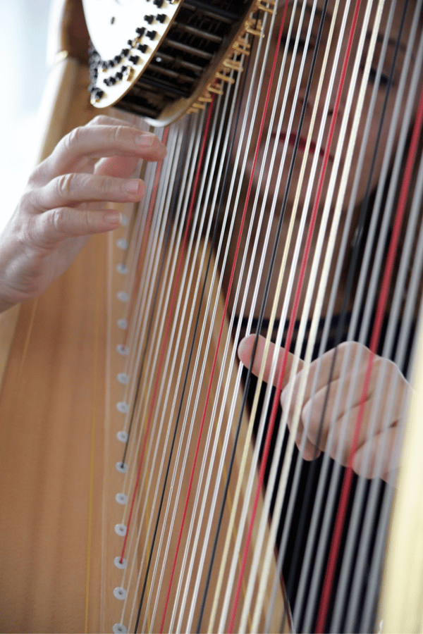 wedding placeholder Ann Lobotzke plays her harp pictured behind the strings