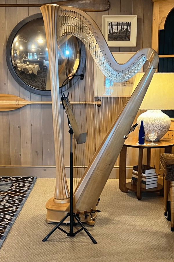 wedding placeholder A harp sits in a room with furniture surrounding it