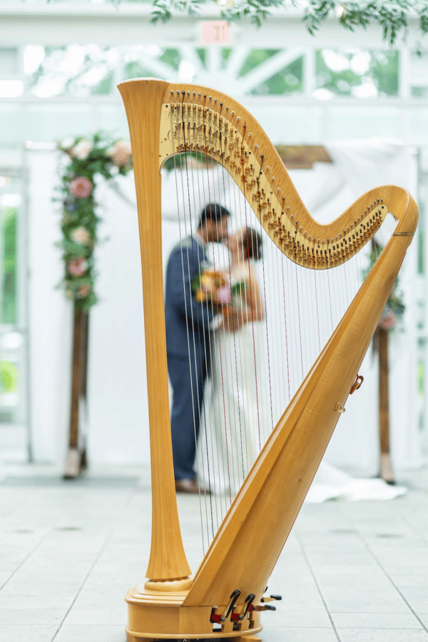 wedding placeholder A bride and groom, blurred in the background, kiss behind the strings of a harp