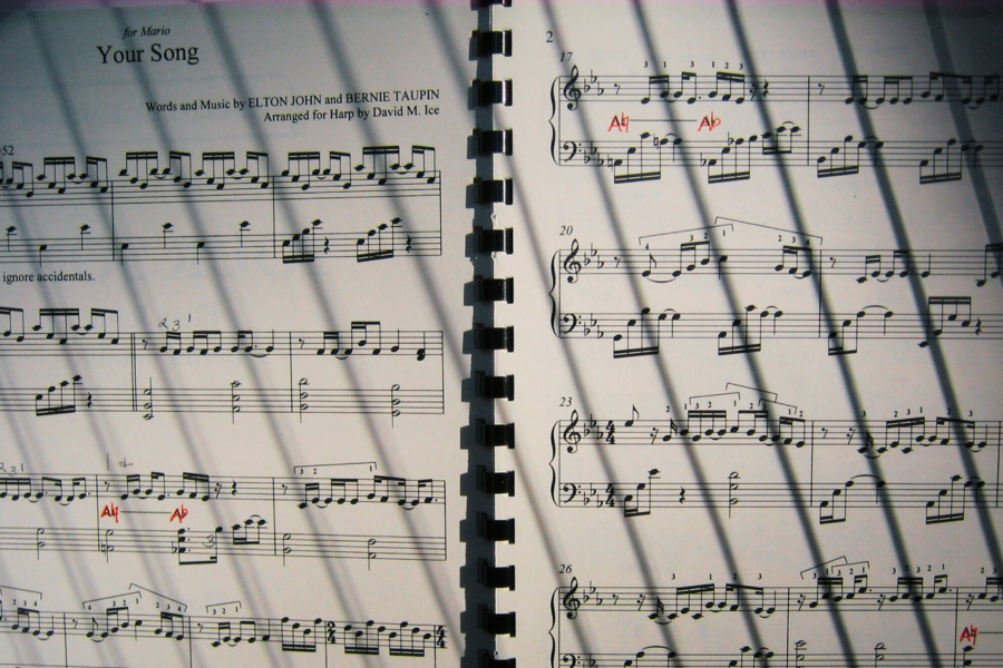 Ann at harp Sheet music behind the shadows of harp strings